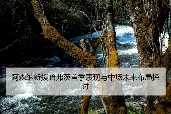阿森纳新援哈弗茨首季表现与中场未来布局探讨